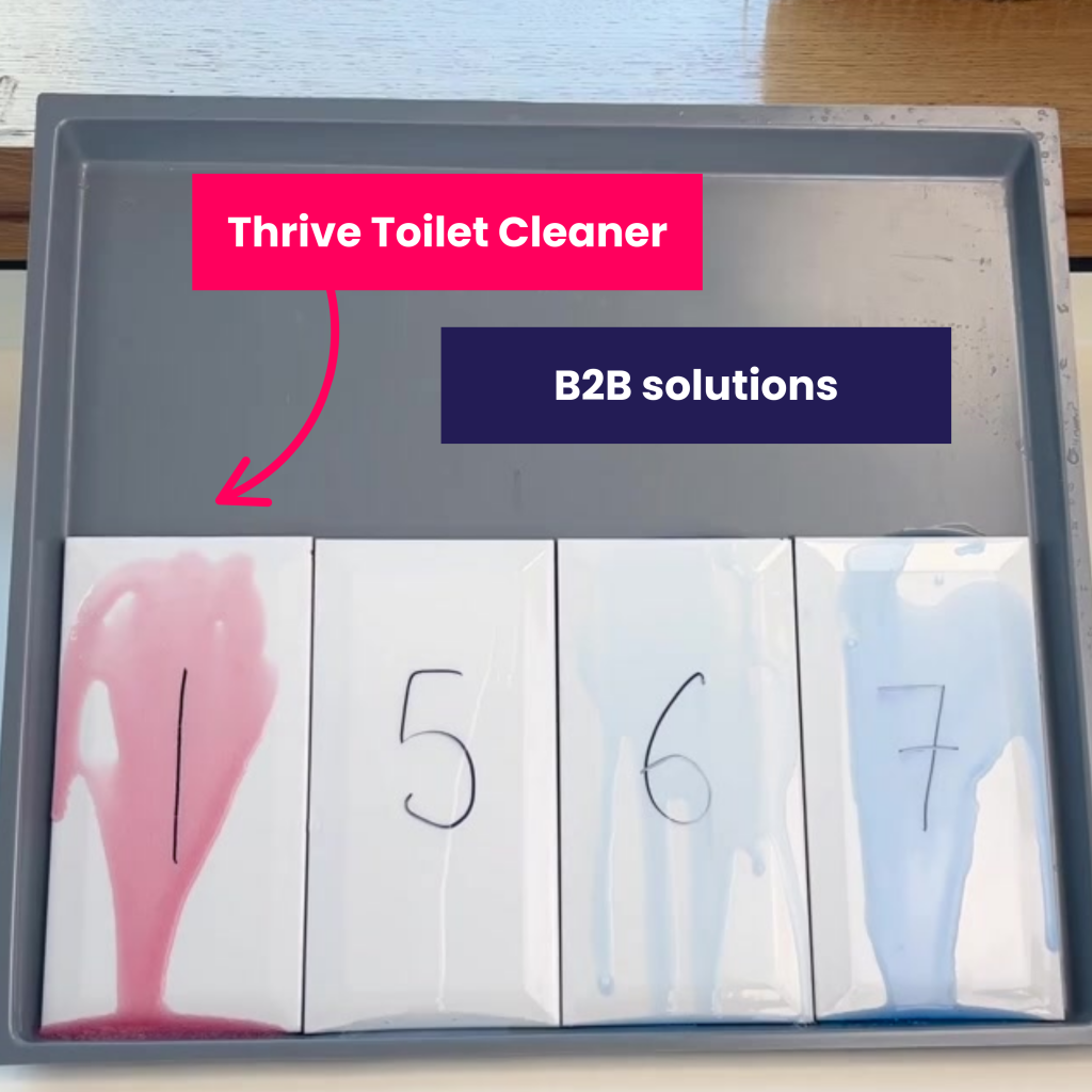 How-TOILET-CLEANER-Works