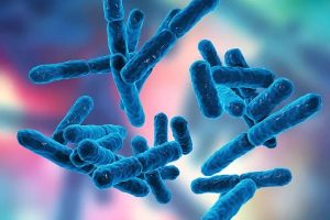 Why multi-strain probiotic systems outperform traditional cleaners