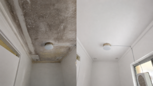 Mould remediation in Australian schools: what the best contractors are using — and why facilities teams should care